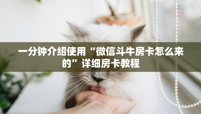 一分钟介绍使用“微信斗牛房卡怎么来的”详细房卡教程