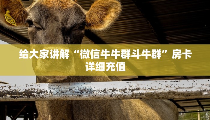 房卡必备教程“微信拼十金花房卡链接获取”详细房卡怎么购买教程