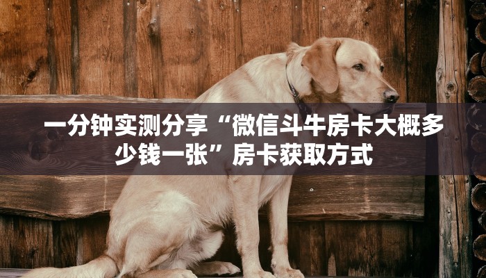 一分钟实测分享“微信斗牛房卡大概多少钱一张”房卡获取方式