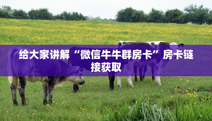 给大家讲解“微信牛牛群房卡”房卡链接获取