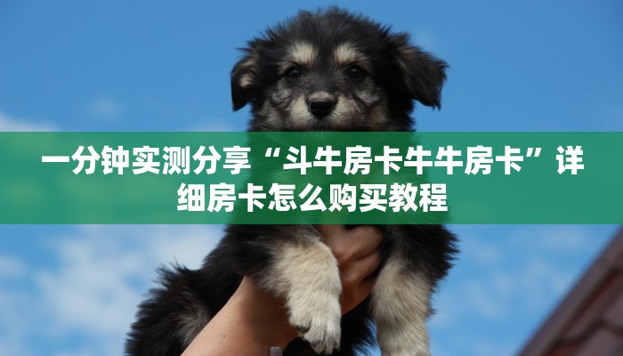 一分钟实测分享“斗牛房卡牛牛房卡”详细房卡怎么购买教程