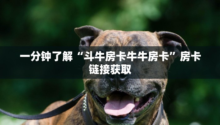 一分钟介绍使用“皇豪互娱牛牛如何购买房卡”房卡链接获取