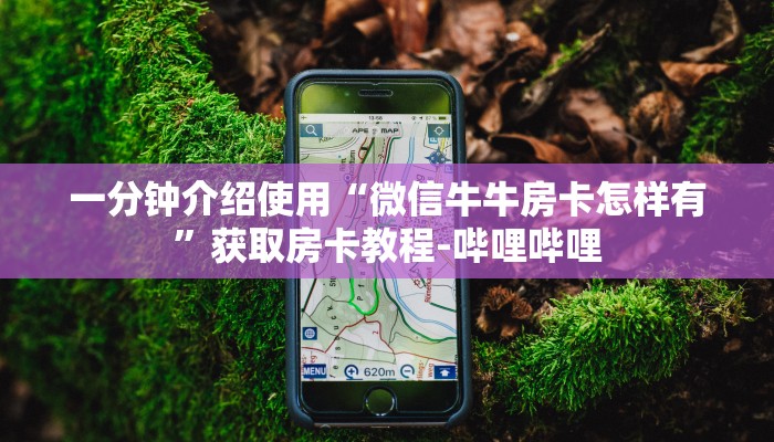 一分钟介绍使用“在哪里能买炸 金花房卡”获取房卡教程-哔哩哔哩