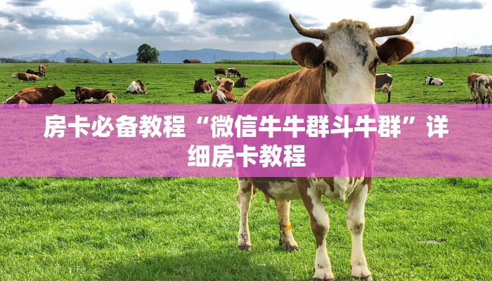 房卡全攻略“微信炸 金花房卡找谁买”详细房卡怎么购买教程