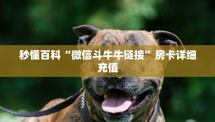 给大家讲解“炸 金花房卡代理步骤”房卡链接获取