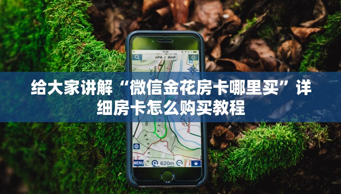 给大家讲解“微信金花房卡哪里买”详细房卡怎么购买教程