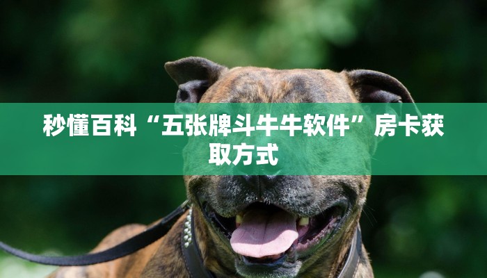 秒懂百科“五张牌斗牛牛软件”房卡获取方式