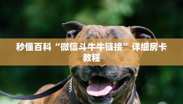 秒懂百科“微信斗牛牛链接”详细房卡教程