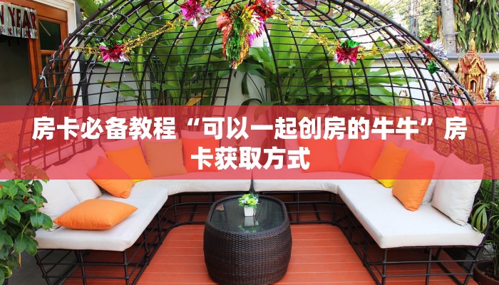 秒懂教程“新星游牛牛房卡”房卡链接获取