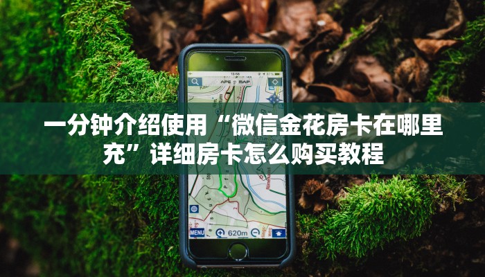 一分钟介绍使用“微信金花房卡在哪里充”详细房卡怎么购买教程
