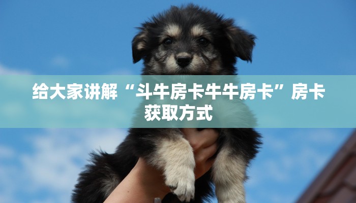 给大家讲解“斗牛房卡牛牛房卡”房卡获取方式