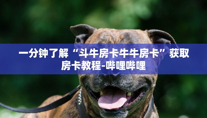 给大家讲解“微信牛牛房卡哪里买”获取房卡教程-哔哩哔哩