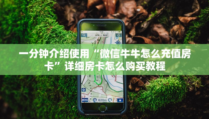 一分钟介绍使用“微信牛牛怎么充值房卡”详细房卡怎么购买教程