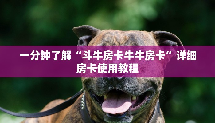 一分钟了解“斗牛房卡牛牛房卡”详细房卡使用教程