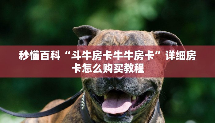 一分钟实测分享“微信群炸 金花链接房卡”详细房卡使用教程