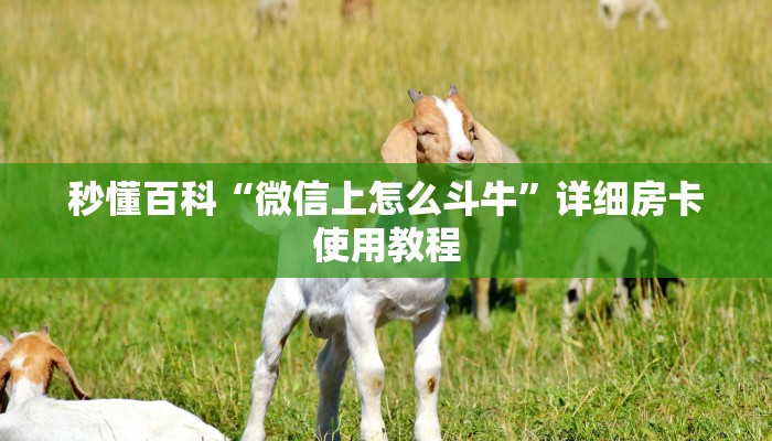 秒懂百科“微信上怎么斗牛”详细房卡使用教程