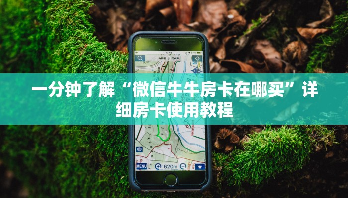 一分钟了解“微信牛牛房卡在哪买”详细房卡使用教程