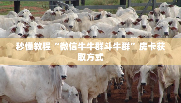 秒懂教程“微信牛牛群斗牛群”房卡获取方式