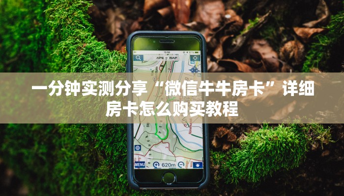 秒懂教程“微信牛牛房卡充值购买”详细房卡怎么购买教程