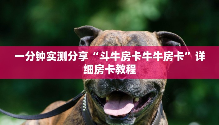 给大家讲解“微信群炸 金花如何创建房间”房卡获取方式