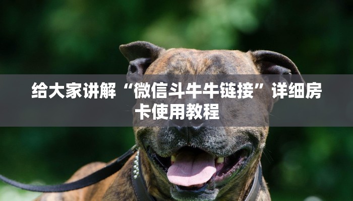 给大家讲解“微信斗牛牛链接”详细房卡使用教程