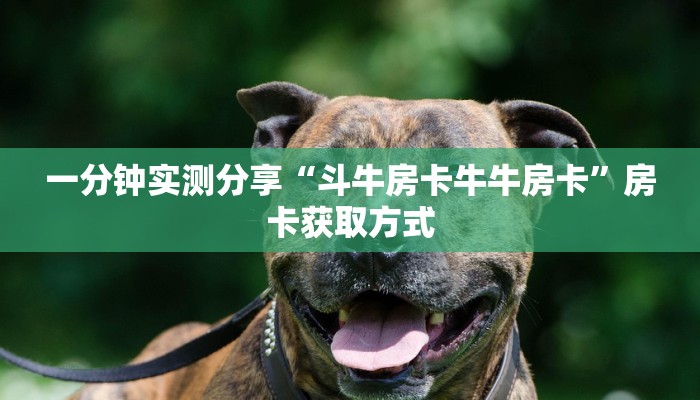 秒懂教程“微信平台拼十房卡客服在哪里”获取房卡教程-哔哩哔哩