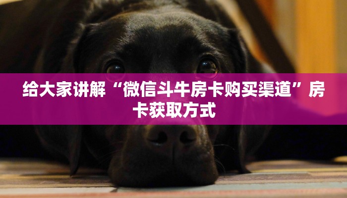 房卡必备教程“在哪里买炸 金花房卡便宜”详细房卡教程