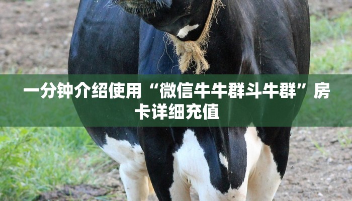 一分钟介绍使用“微信牛牛群斗牛群”房卡详细充值