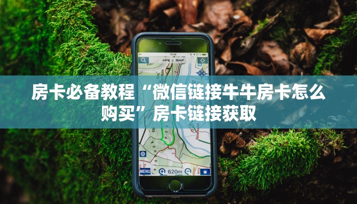 房卡必备教程“新蜜瓜大厅在哪买房”房卡获取方式