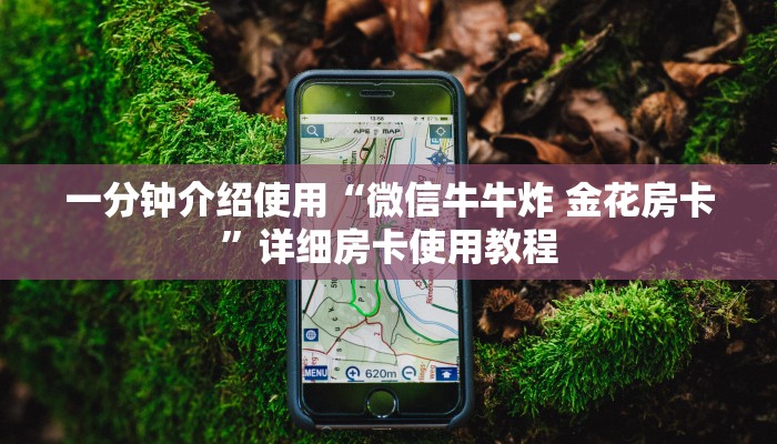 秒懂百科“微信炸 金花怎样建房间”获取房卡教程-哔哩哔哩