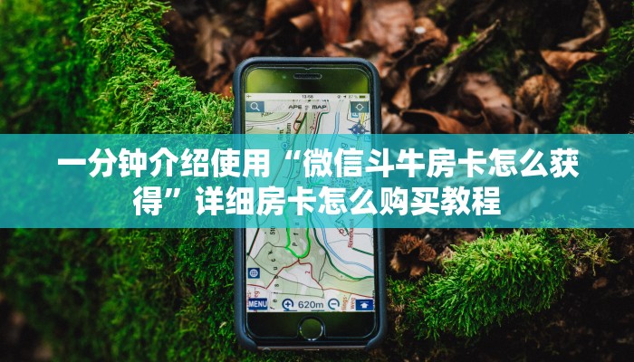 一分钟介绍使用“微信斗牛房卡怎么获得”详细房卡怎么购买教程