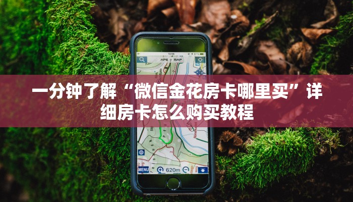 给大家讲解“微信群金花链接房卡怎么弄”详细房卡怎么购买教程