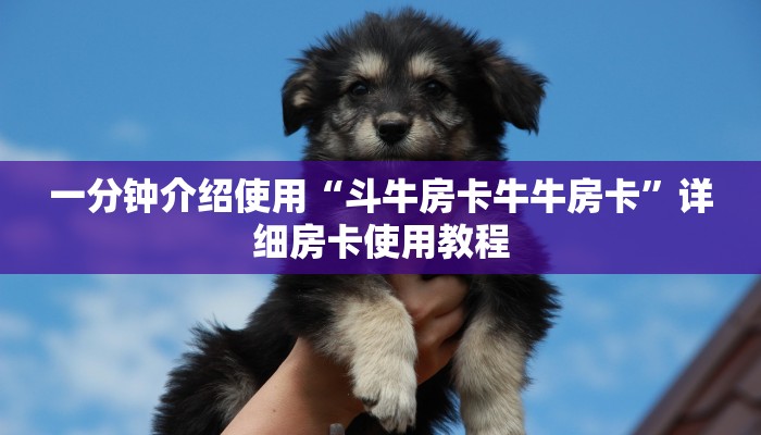 一分钟介绍使用“斗牛房卡牛牛房卡”详细房卡使用教程