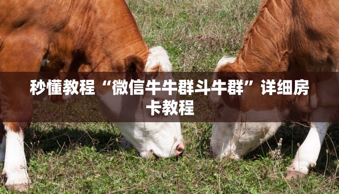 秒懂教程“微信牛牛群斗牛群”详细房卡教程