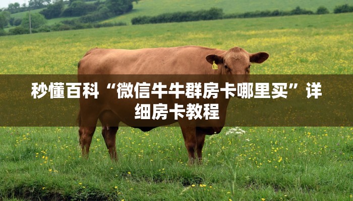 秒懂百科“微信牛牛群房卡哪里买”详细房卡教程