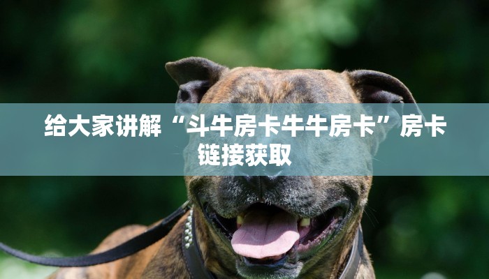 给大家讲解“斗牛房卡牛牛房卡”房卡链接获取