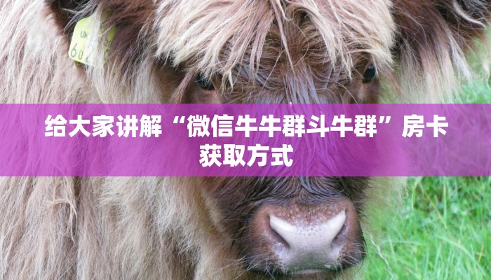 秒懂教程“微信牛牛链接房卡哪里买的”详细房卡使用教程