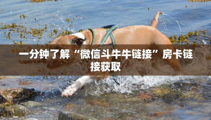 一分钟了解“微信斗牛牛链接”房卡链接获取