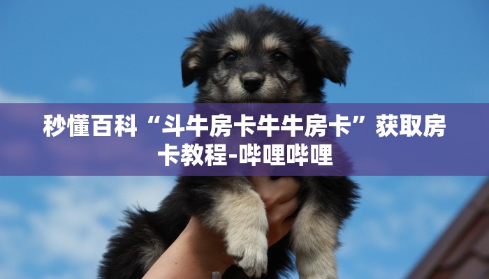 秒懂百科“斗牛房卡牛牛房卡”获取房卡教程-哔哩哔哩