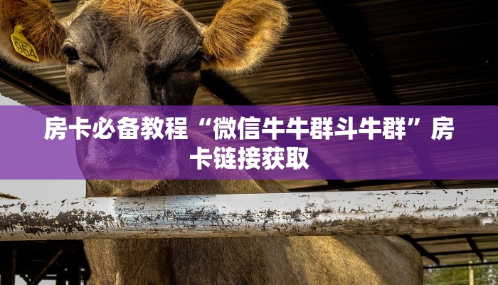 秒懂教程“微信牛牛金花房卡链接”房卡链接获取