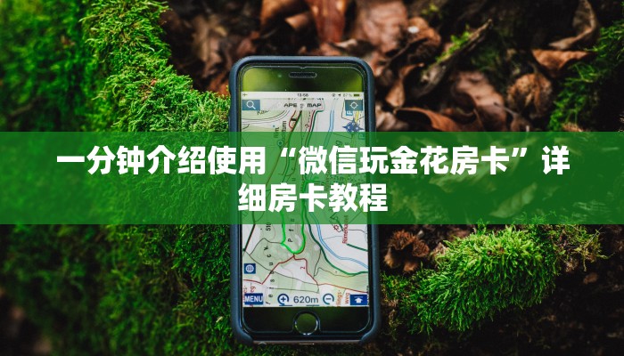 一分钟介绍使用“微信玩金花房卡”详细房卡教程
