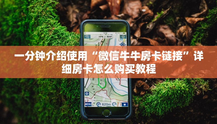 一分钟介绍使用“微信牛牛房卡链接”详细房卡怎么购买教程