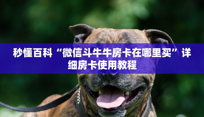 秒懂百科“微信斗牛牛房卡在哪里买”详细房卡使用教程