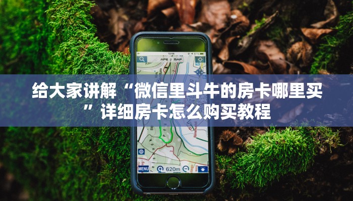 给大家讲解“微信里斗牛的房卡哪里买”详细房卡怎么购买教程