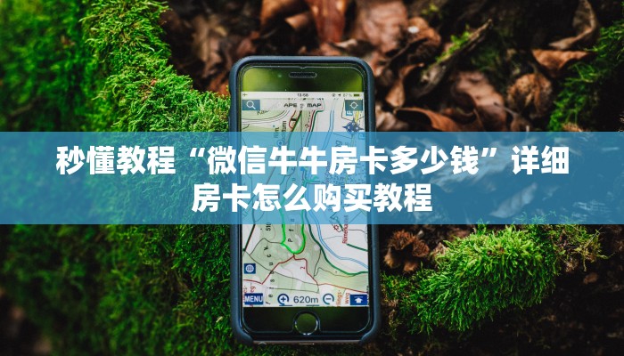 秒懂教程“微信牛牛房卡多少钱”详细房卡怎么购买教程