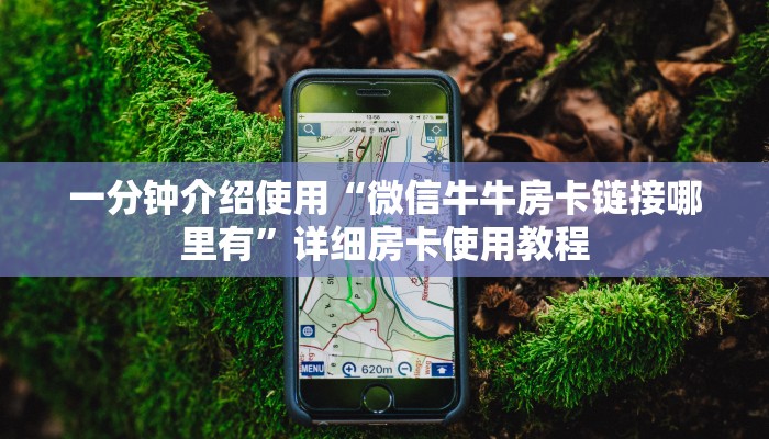 一分钟介绍使用“微信牛牛房卡链接哪里有”详细房卡使用教程