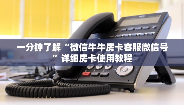 一分钟了解“微信牛牛房卡客服微信号”详细房卡使用教程