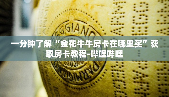 一分钟了解“金花牛牛房卡在哪里买”获取房卡教程-哔哩哔哩