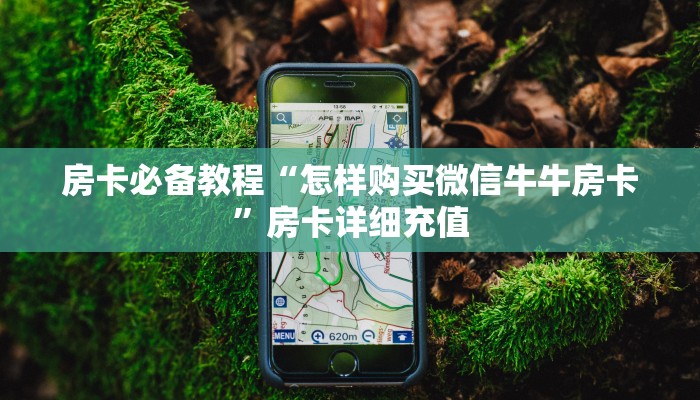 秒懂教程“牛牛链接房卡怎么购买”详细房卡怎么购买教程