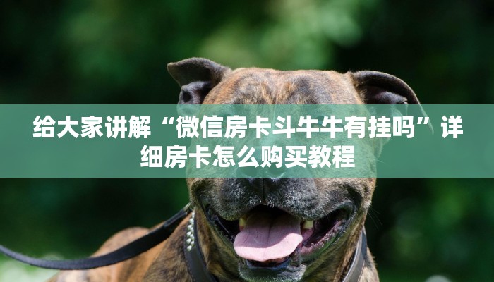 给大家讲解“微信房卡斗牛牛有挂吗”详细房卡怎么购买教程